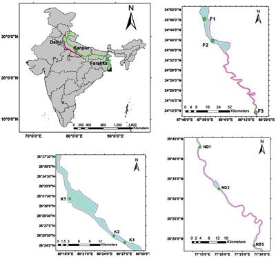 Metagenomic Analysis Reveals Bacterial and Fungal Diversity and Their Bioremediation Potential From Sediments of River <mark class="highlighted">Ganga</mark> and Yamuna in India